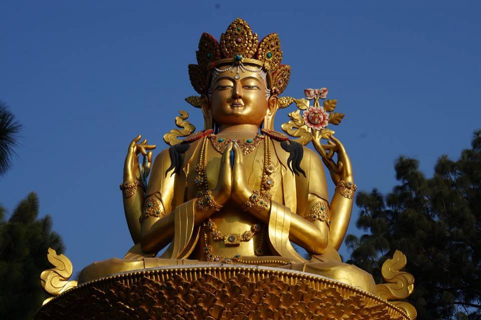 Buddha's 2562 Birthday 